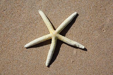 《ONI：鬼族武者立志传》现已开启预购，享10%折扣